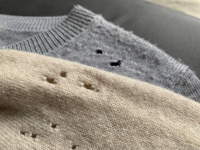 Professional moth treatment service for clothes and garment protection