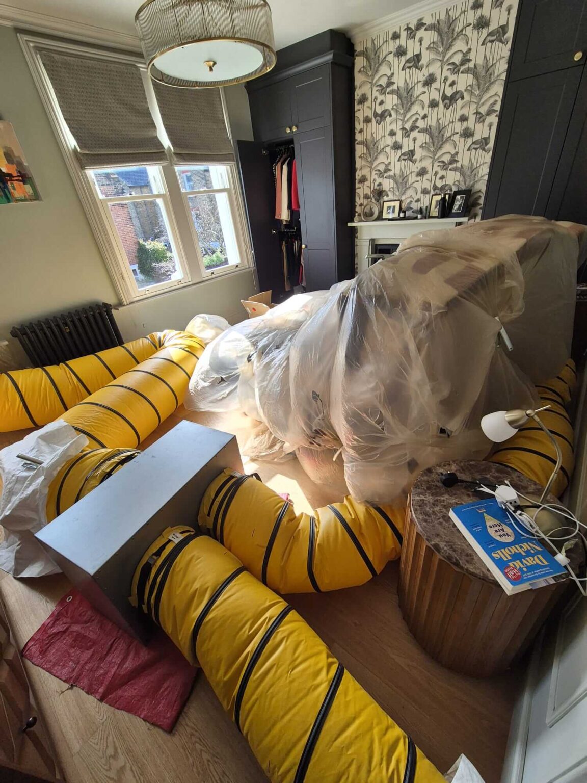 Moth Treatment Pros professional technician on site in London