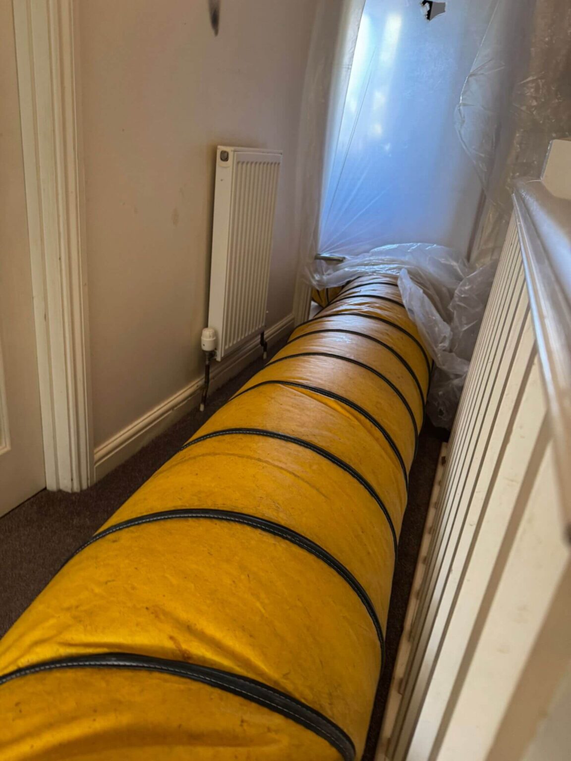 Moth Treatment Pros professional pest control technician treating a property