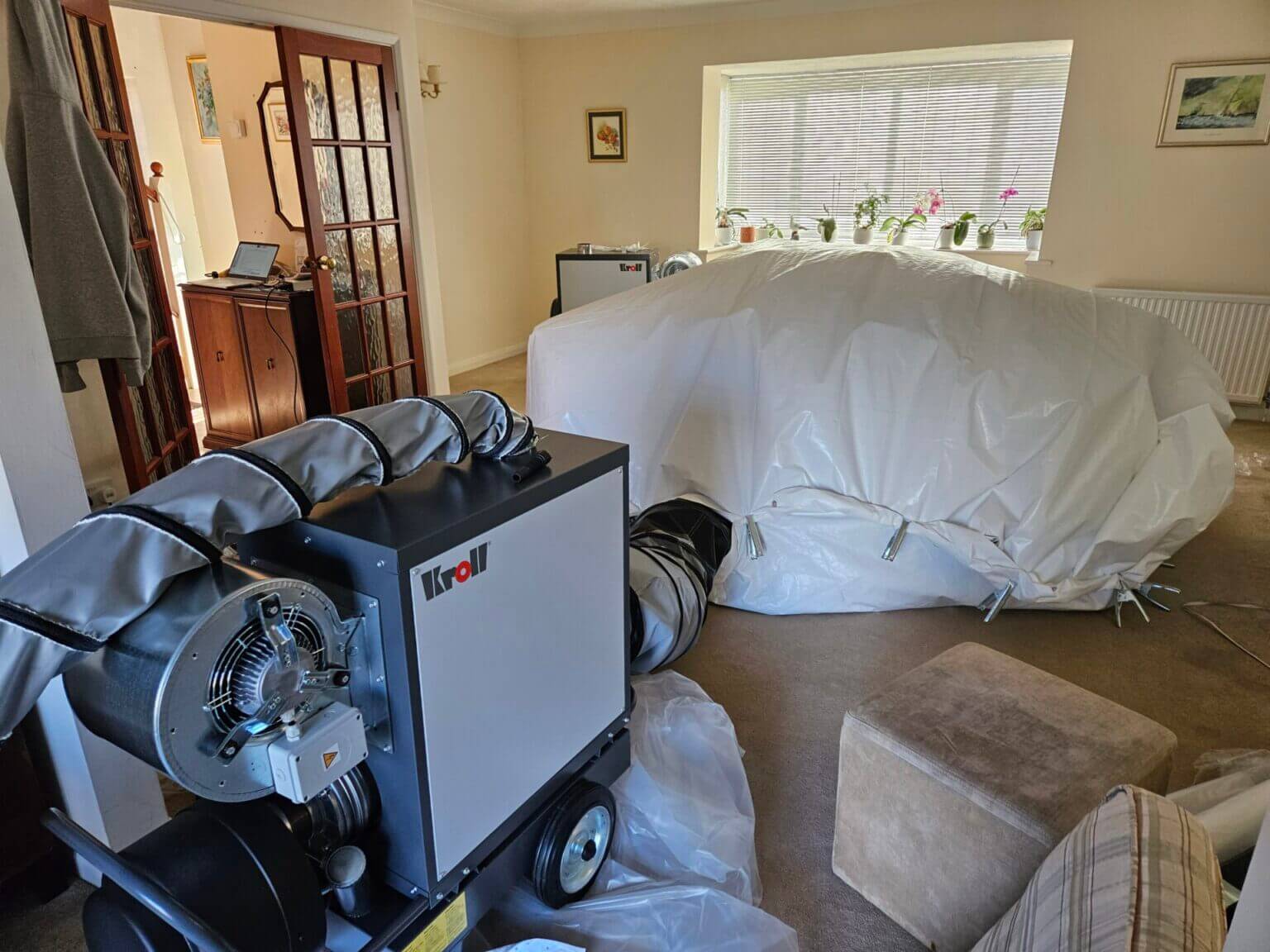 Professional moth pest control treatment by Moth Treatment Pros